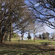 Frazer Park Off Leash Area